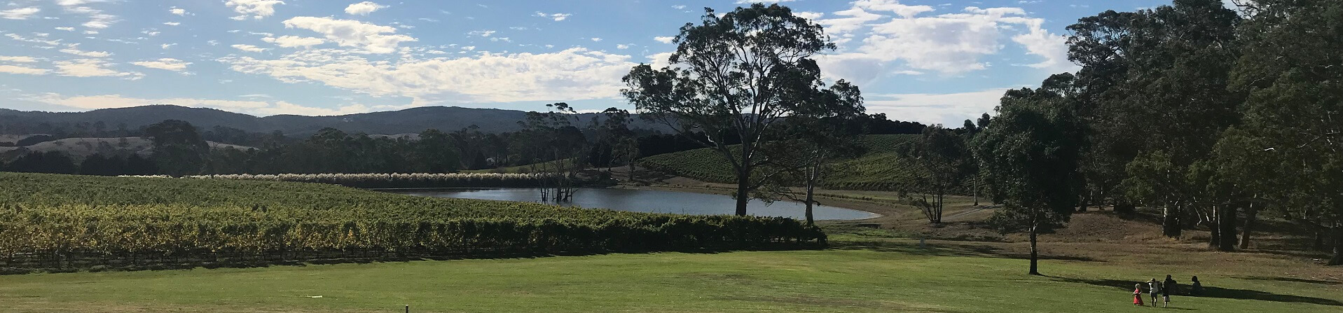 What wine are the Adelaide Hills known for?